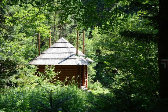 Magurski Park Narodowy